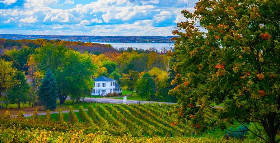 A Dinogo’s Guide to the Finger Lakes