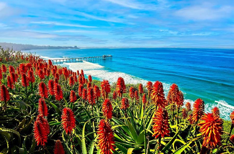 How to Experience the Perfect Weekend in San Diego