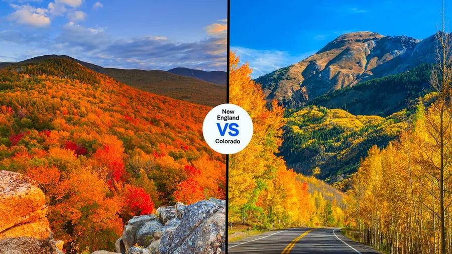 New England maples versus Colorado aspens: which region in the US boasts the best fall colors?