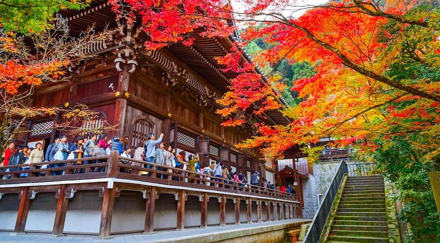 Japan Itineraries: 5 Optimal Routes to Discover the Country