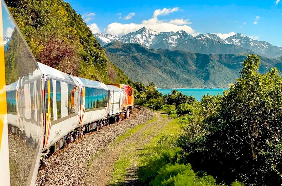 Top 3 Scenic Train Journeys in New Zealand