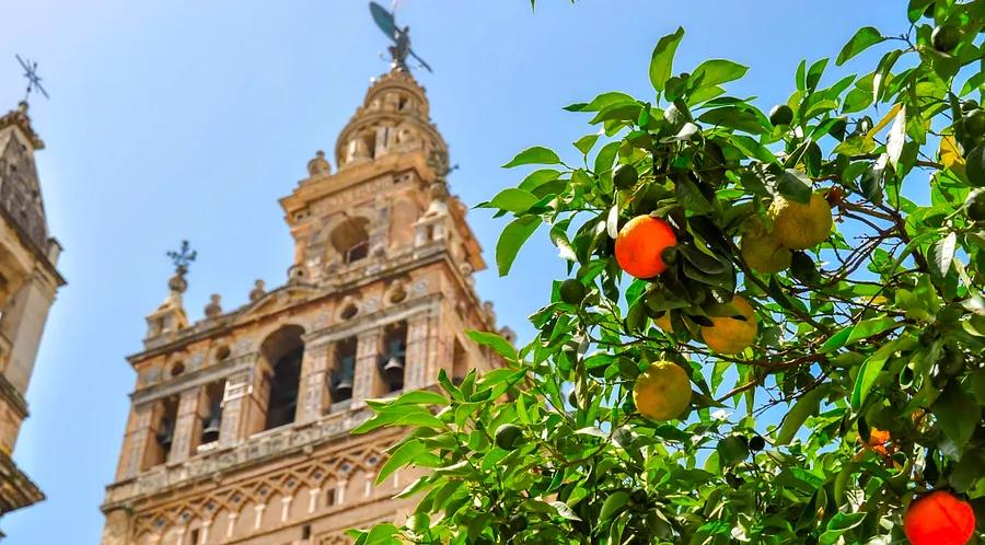 15 Unique Experiences to Enjoy in Seville, Spain