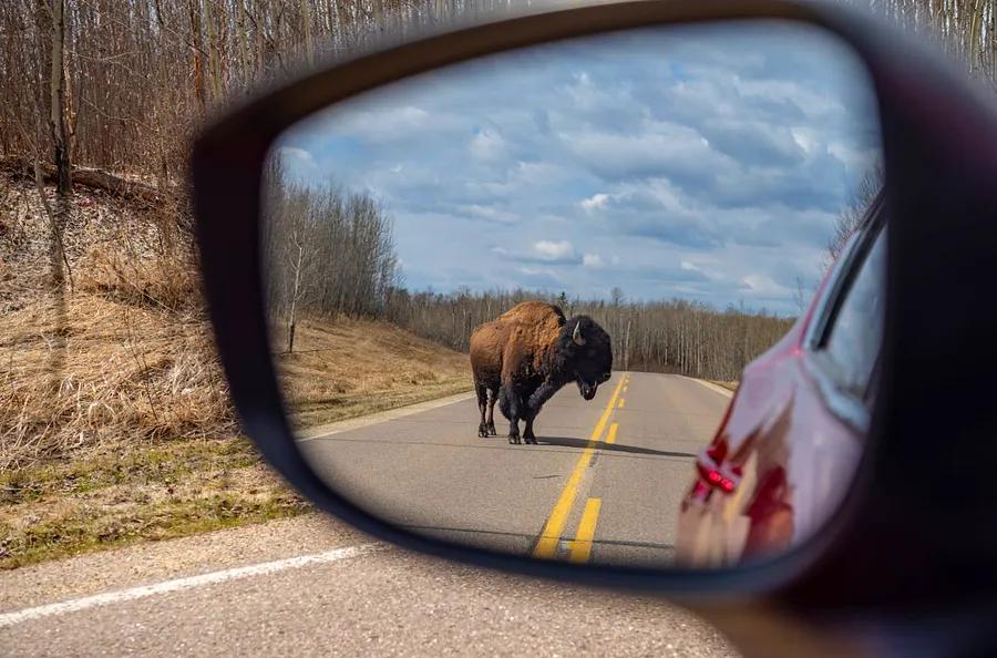 The ultimate journey through northern Alberta, Canada