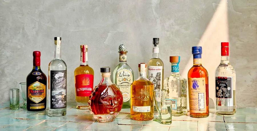 Celebrating the Heritage of Tequila in Jalisco, Mexico