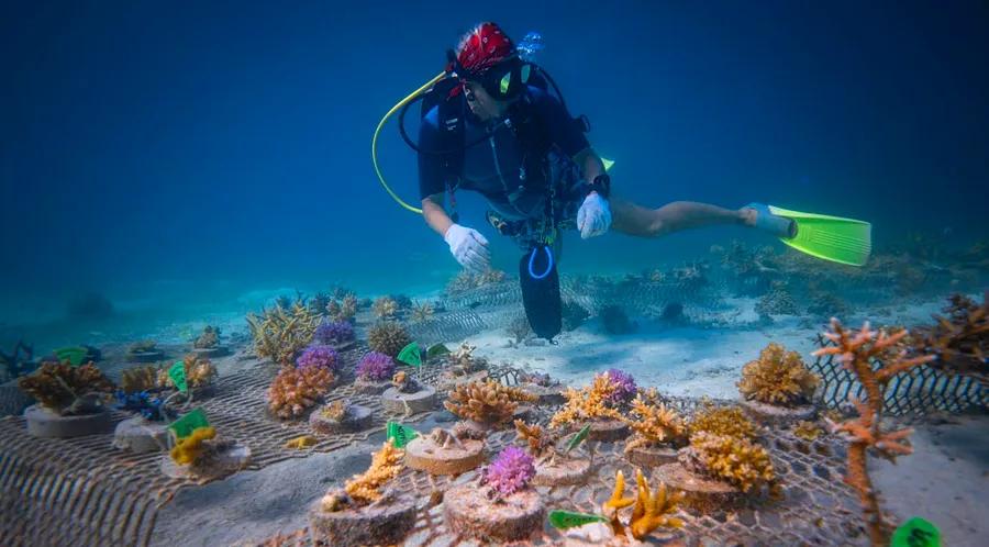 These 10 eco-friendly travel experiences offer both thrill and fulfillment