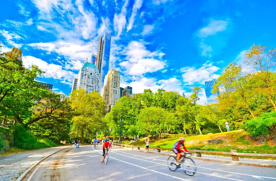 The 6 Best Running Routes in New York City