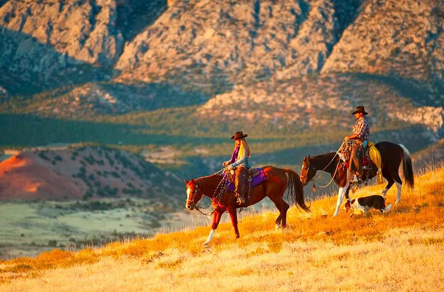 Dinogo Plan-it: Your Guide to Planning a Dude Ranch Getaway