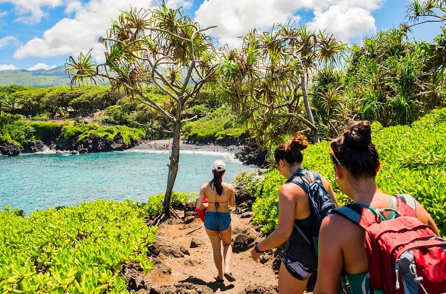 A Beginner's Guide to Maui