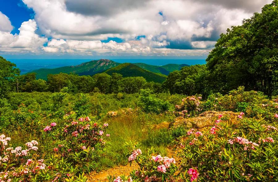 Your First-Time Guide to Shenandoah National Park