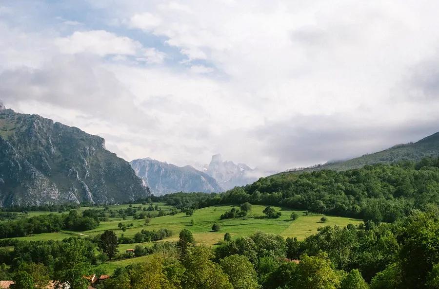 Wild Spain: An Overview of Its Parks and Wildlife