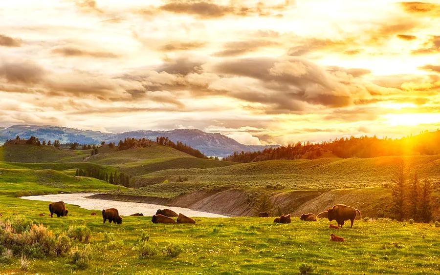 Top Day Trips from Bozeman: From Big Sky to Yellowstone