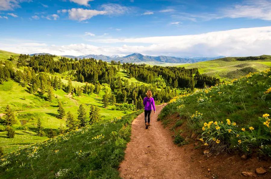 Top Hiking Trails in Bozeman for Nature Lovers