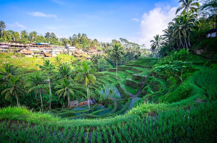 How many locations can I explore in Bali within a week?