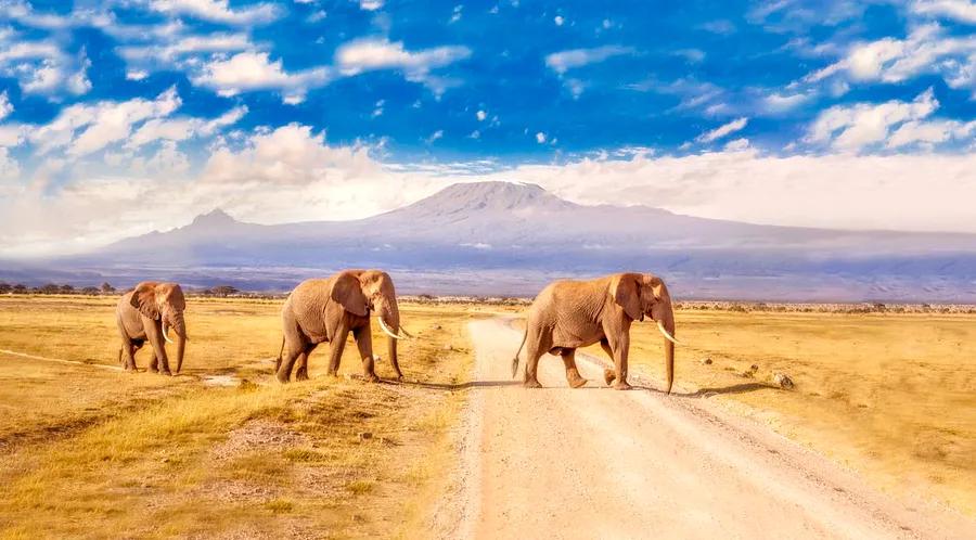 Top 8 must-visit destinations in Kenya