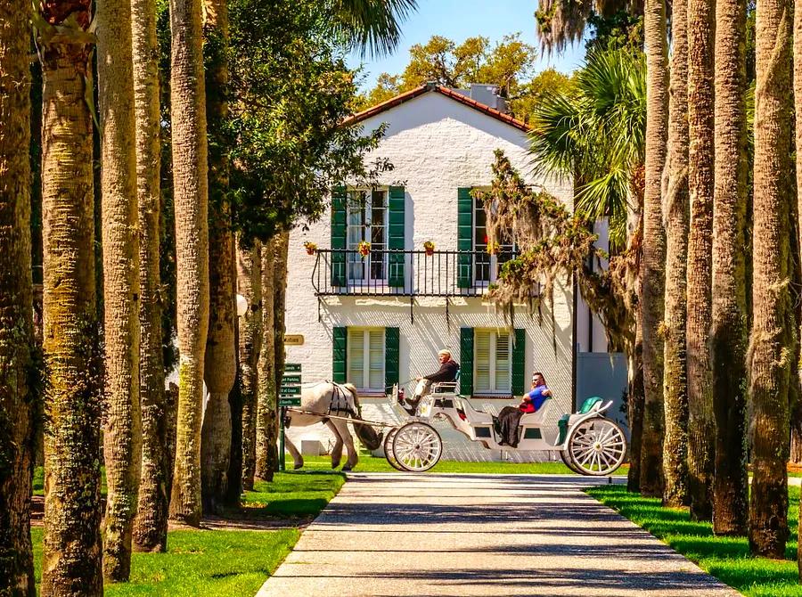 Top 6 Day Trips from Savannah