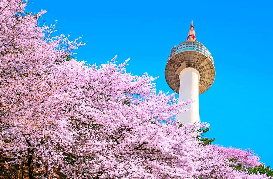 The 11 Must-See Experiences in South Korea