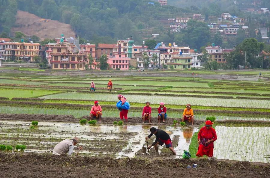 Explore the Kathmandu Valley through a homestay tour, Nepal