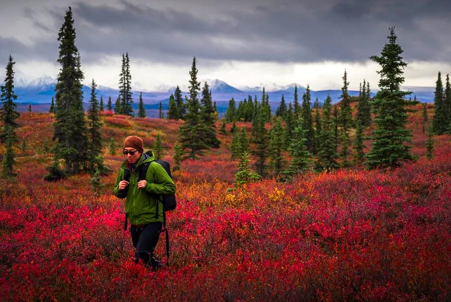 Top 10 hiking trails in Alaska