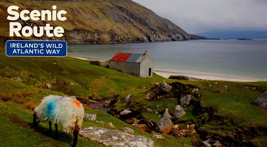 Coasts, Castles, and Culture: A Nine-Day Adventure on Ireland’s Wild Atlantic Way