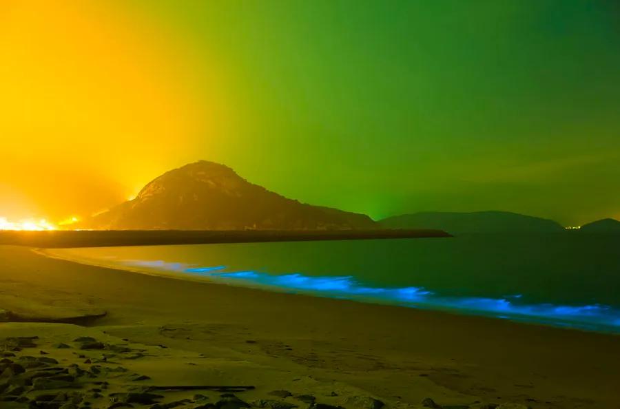 Top 9 Locations Worldwide to Experience Bioluminescence