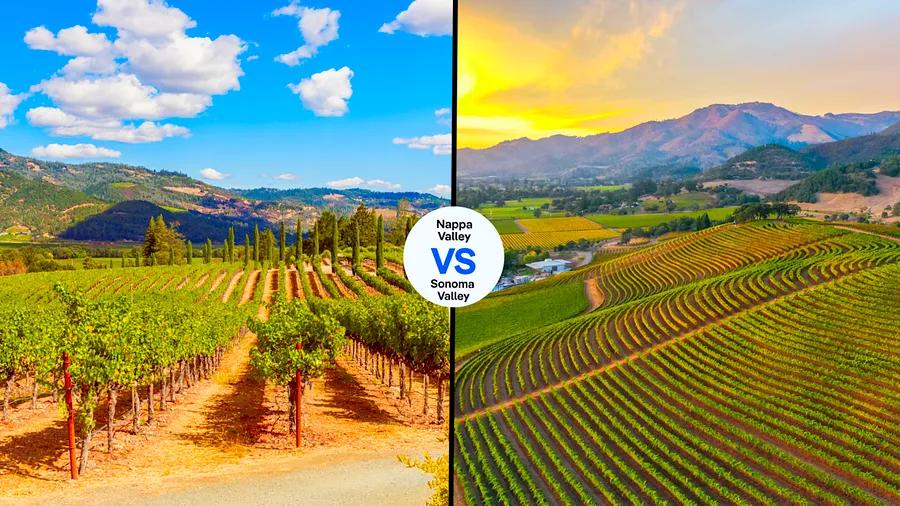 Napa or Sonoma: which California wine region reigns supreme for wine lovers?