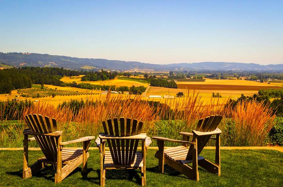 A newcomer’s guide to the Willamette Valley, Oregon