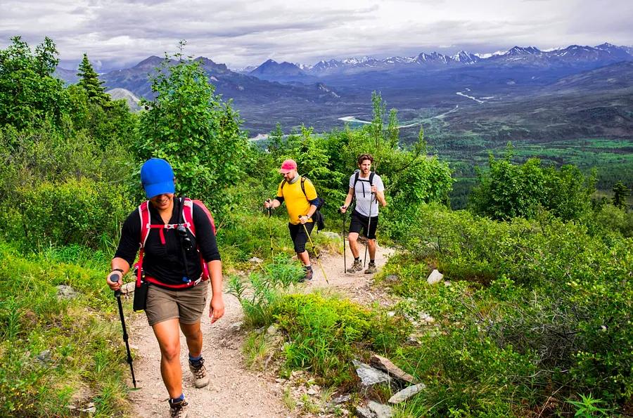 The ultimate guide for first-time visitors to Denali National Park and Preserve