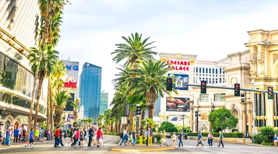 Local Walks: 10,000 steps on the Las Vegas Strip