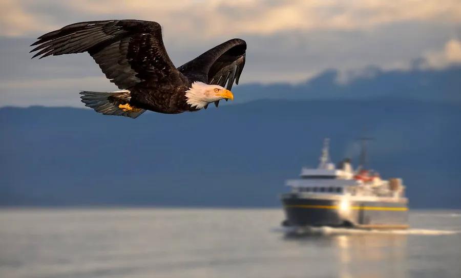 Navigating the Alaska Marine Highway