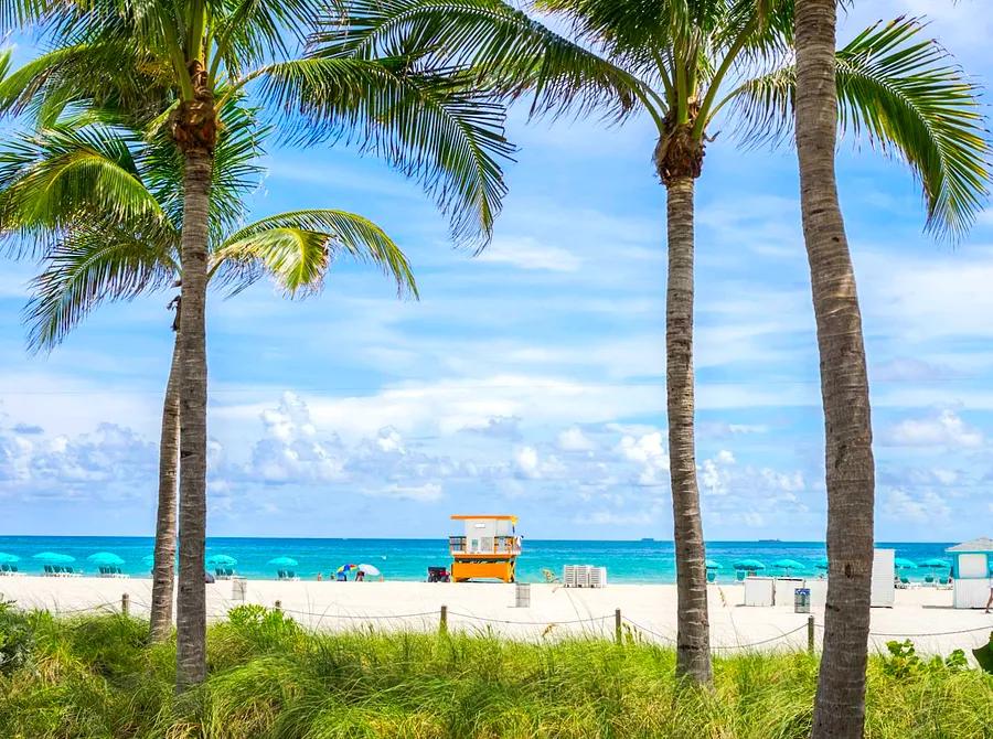 9 Awesome Free Activities to Enjoy in Miami