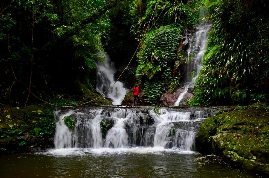 Discover the highlights of Queensland’s Scenic Rim with these 8 incredible activities