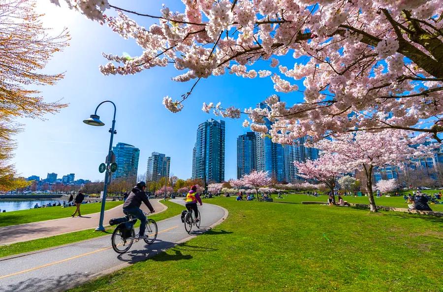 Exploring Vancouver: Discover the city's top attractions, with or without a vehicle