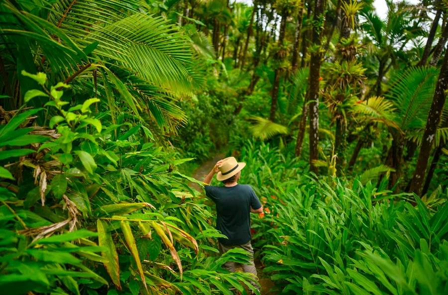 Discover the top 8 must-visit destinations in Puerto Rico.