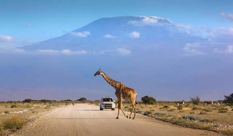 Top Tips for an Unforgettable Journey: 7 of the Best Road Trips in Kenya