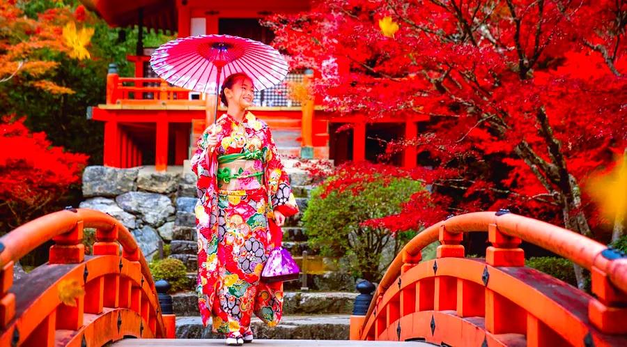 14 essential insights for visiting Kyoto