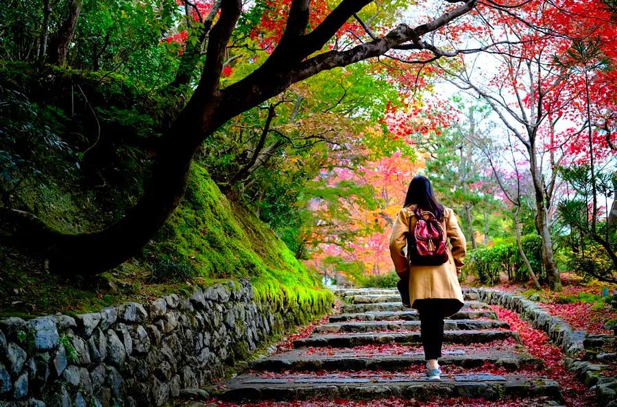 Best times to plan your Kyoto trip