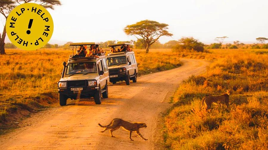 I'm considering a self-drive safari in Botswana, Kenya, or Tanzania—how challenging would it be?