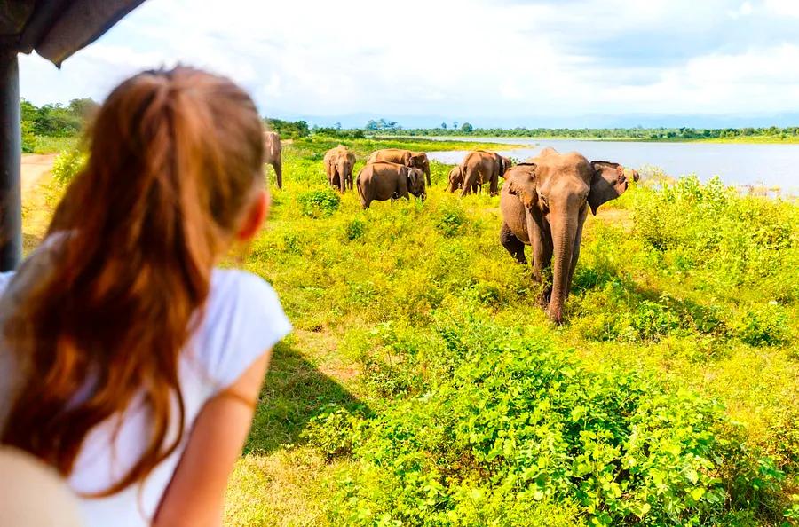 Top Activities for Kids in Sri Lanka