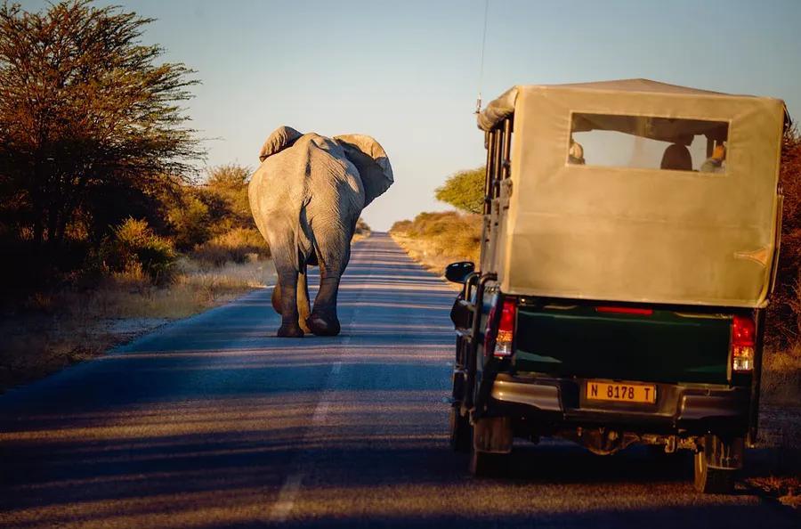 Getting Around in Namibia