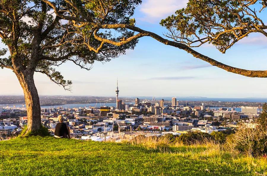 Budget-Friendly Auckland