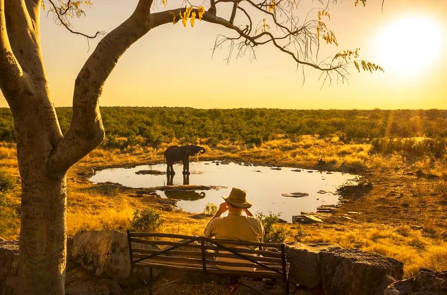 9 essential insights before visiting Namibia