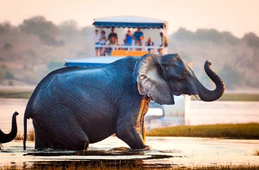 Top 8 Destinations to Explore in Botswana