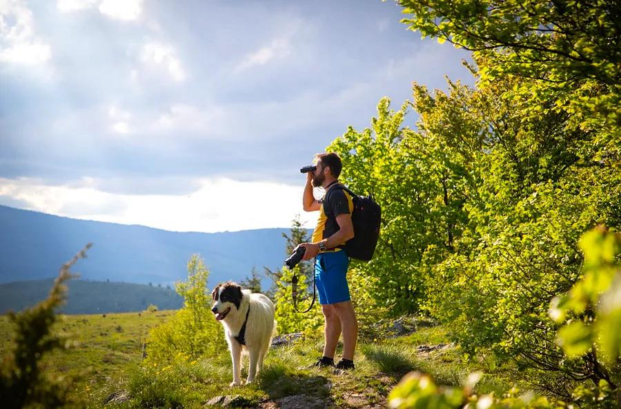 Vermont’s top 7 hiking trails