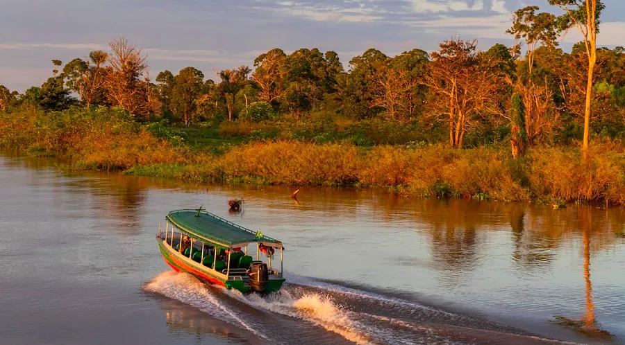 Dinogo Plan-it: Discover how to glide along the Amazon while savoring unforgettable meals in Manaus, Brazil