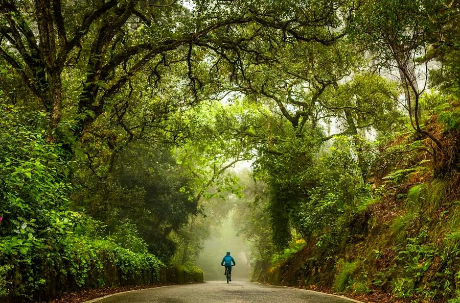 9 ways to enjoy Sintra away from the crowds