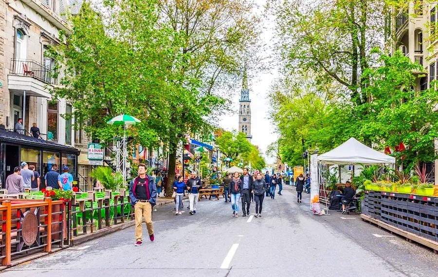 Your complete guide to navigating Montréal