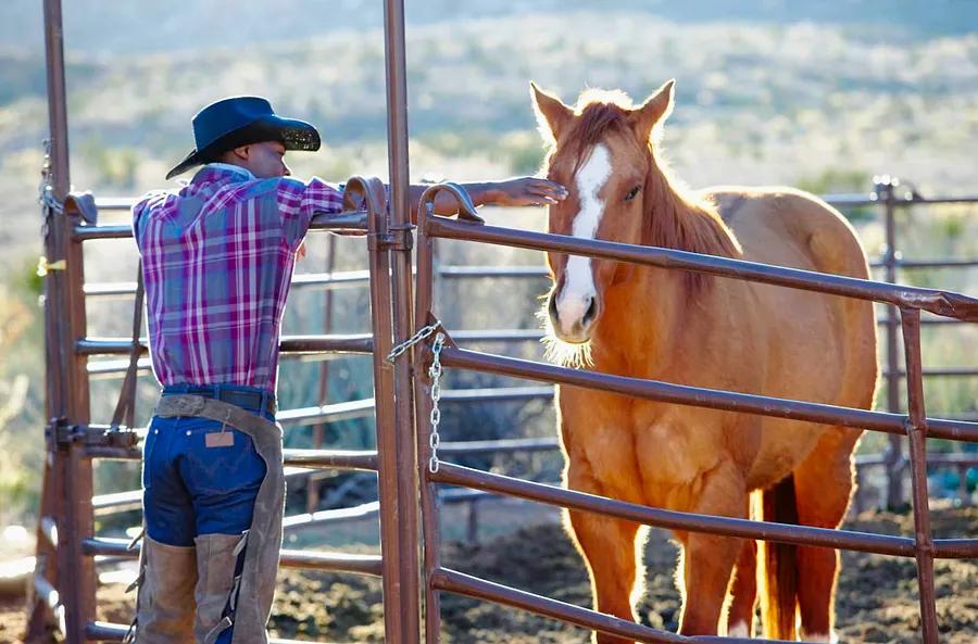 17 Budget-Friendly Ways to Experience Texas