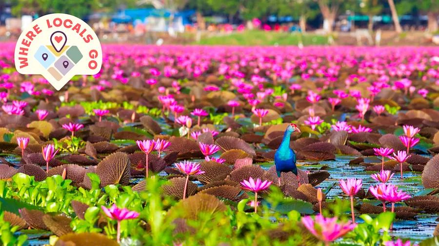 Explore where the locals vacation in Thailand