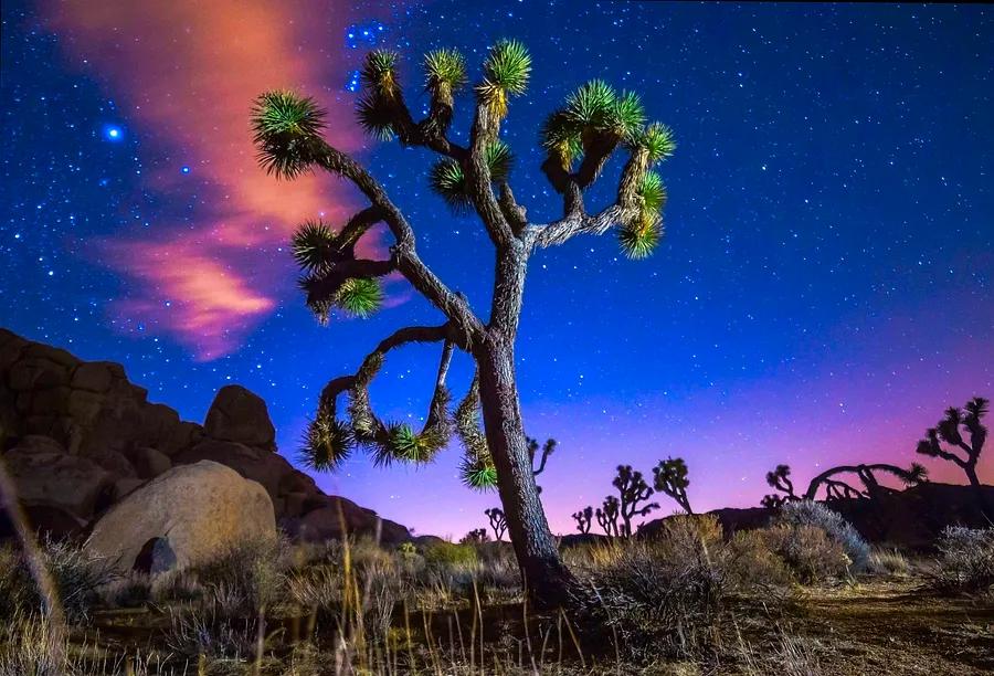 Top Dark Sky Parks to Explore Worldwide.