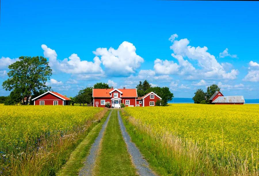 The ultimate summer road trip itinerary for Sweden